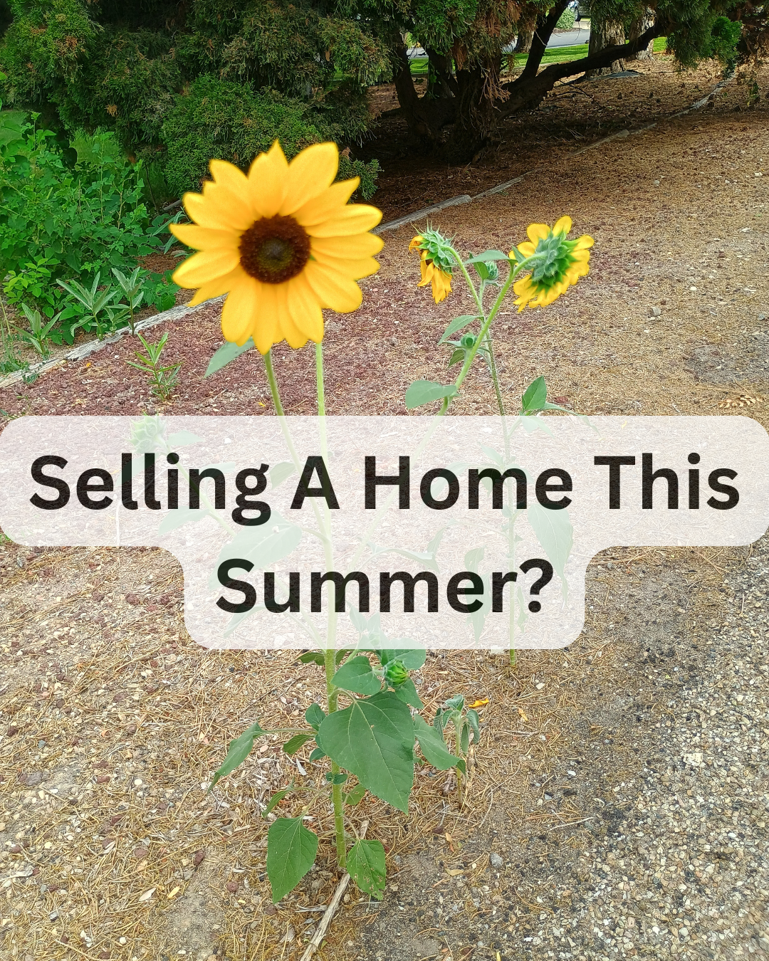 Selling A Home This Summer